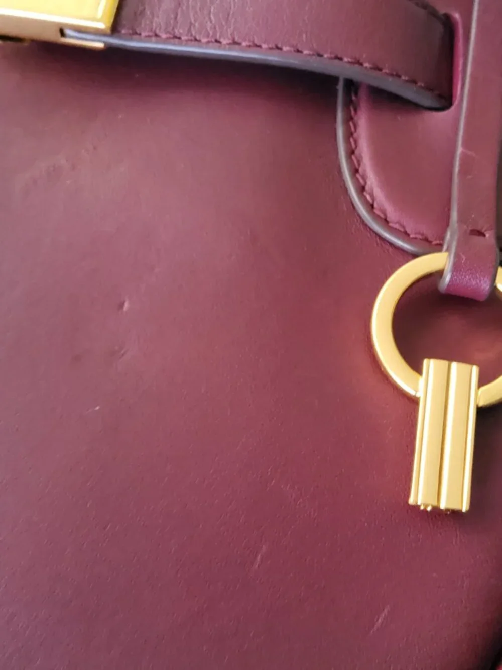 Tory Burch Lee Radziwill Petite Saddlebag in Burgundy